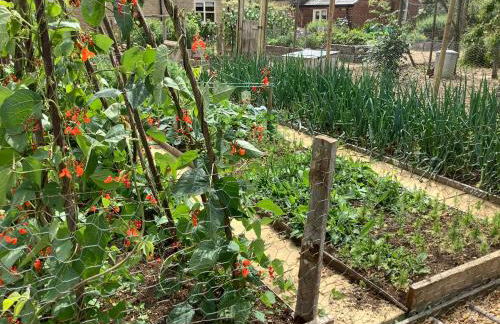 Hollyhock Cottage, Clematis cottages, Stamford - Foto 32