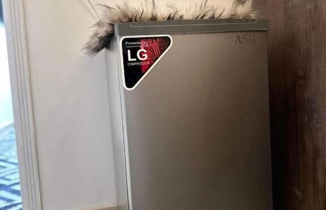 Pharaoh pyramids view - Foto 77