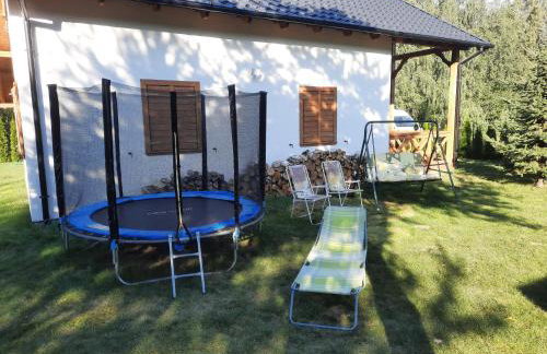 Domek całoroczny nad jeziorem Budzislawskim, Wielkopolska na wynajem - Foto 9