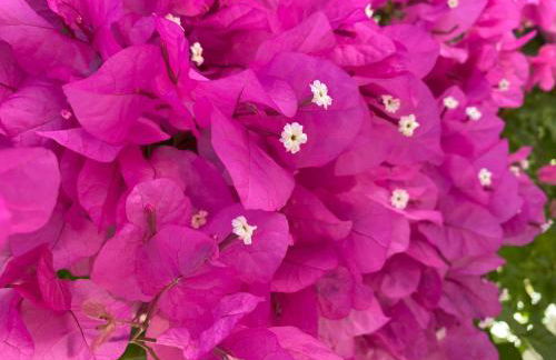 GRANDE VILLA LORIDA - Foto 44