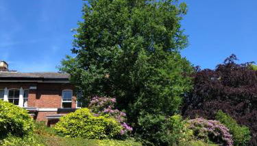 Chorlton Garden Rooms. Relax, work, stay and play. - Foto 4