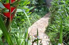 Apartamento dos coqueiros Búzios - Foto 8