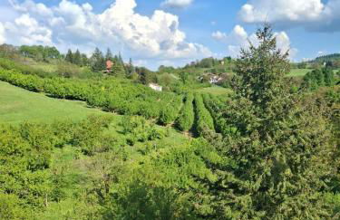 Cascina Bringin - Photo 51