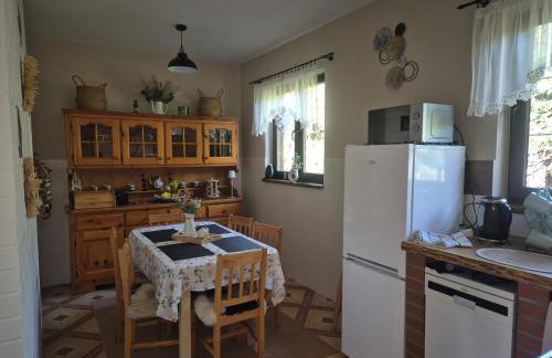 Bieszczadzki Dworek - Foto 43