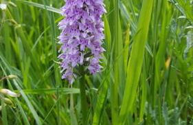 Luxury Villa with Pool, Stunning Location - Foto 36