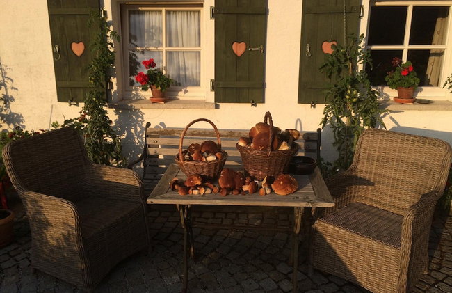 Chalet in Kollnburg Near St. Englmar Ski Area - Photo 13