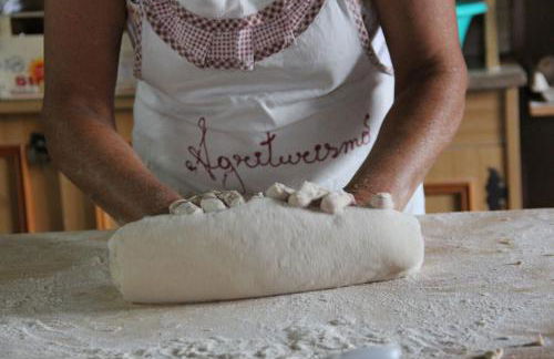 Bio Agriturismo Aia del Tufo - Foto 26