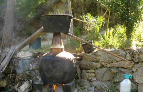 Quinta Do Circo - Serra Da Estrela - Turismo Rural - Foto 20