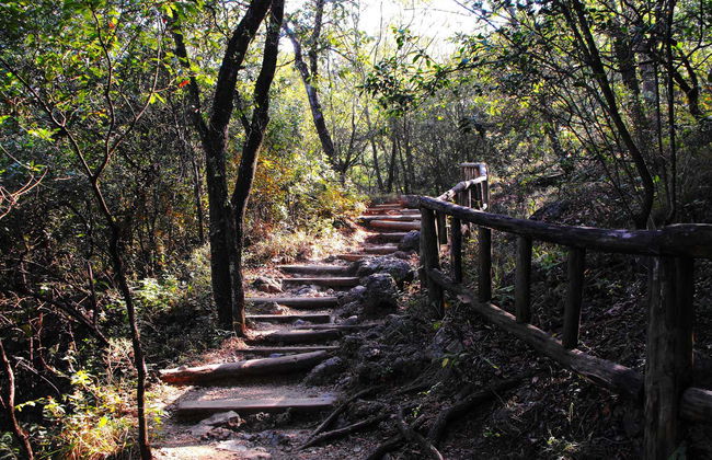 Excursion aux parcs La Huasteca et Chipinque - Photo 8