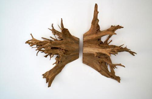 Sparrow Sintra Nest - Foto 17