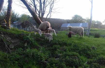 Hillhead Country Retreat - Photo 39