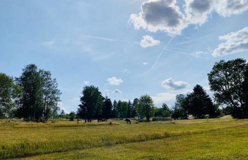 Ferienwohnung Abendsonne - Foto 39