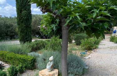 La Magistrale - Foto 17