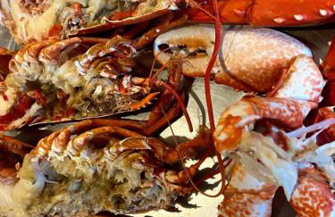 La Clé de Taulé - Foto 56