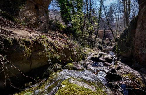 il Friscello - Foto 8