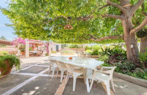 Cas Moliner - Photo 23