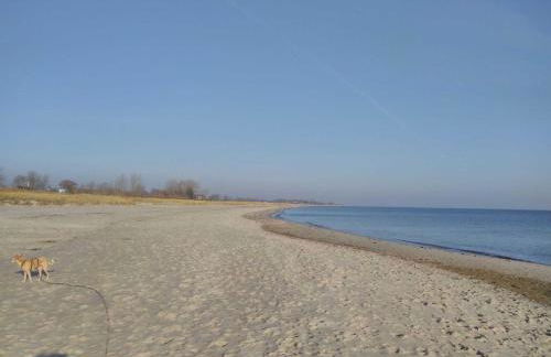 Ferienwohnung Heimathafen - Foto 53