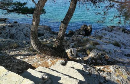 HOUSE Kod dide - Foto 32