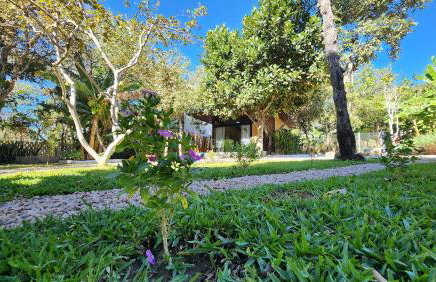 Chalé Serra Santana - Foto 1