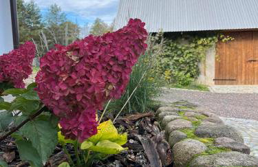 Domek w Zakątku Andrzeje Śniczany 18 - Photo 50