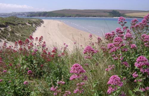 10 Trehawks - Foto 11