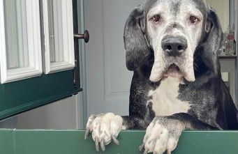 Ferienhaus Atempause - Foto 56