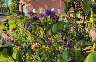 Gulfhof Anelis - Foto 57