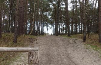 Usedoms Kleines Ostseeglück #1 in Peenemünde bis 4 Personen, Zuganreise möglich - Foto 20