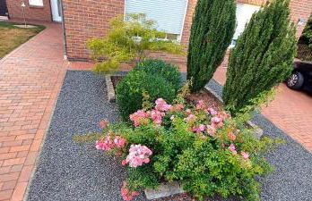 Ferienwohnung Reddemann - Foto 16