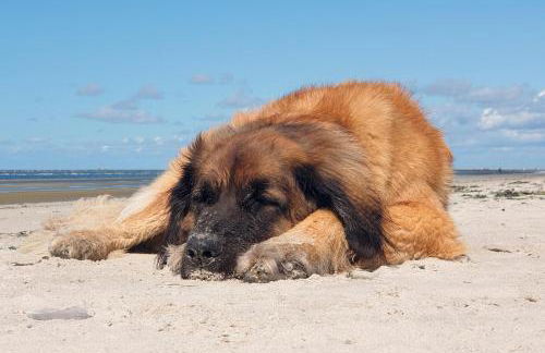 Meerblick Hohenfelde - Foto 24