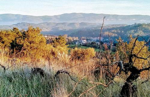 Casa da Casimira - Foto 39