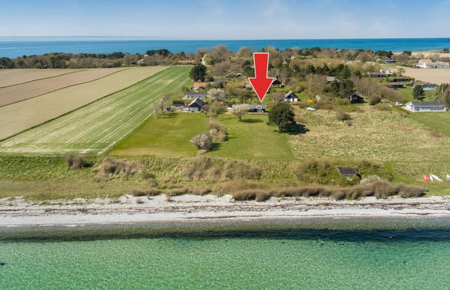 "Trajko" - 100m from the sea - Foto 10