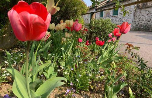 Le Clos de l'Eglise - Blanche - Foto 1