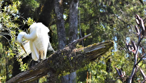 Descubriréis especies naturales asombrosas