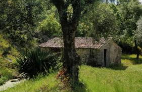 Poço e Meio - Padel & Pool - Foto 67