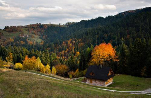 Chata na Kowalówkach - domek w górach - blisko szlaków i wyciągu - Foto 31