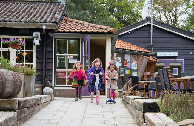 Vakantiepark De Wiltzangh - Foto 1