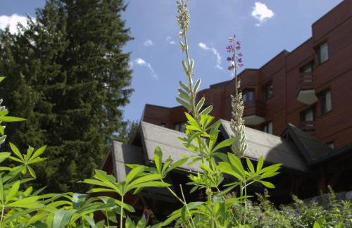 Studio rénové à Courchevel 1850, skis aux pieds, 4 pers, parking inclus - FR-1-575-247 - Foto 16