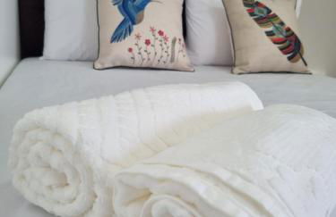 Ipê Amarelo - Frente ao Mar na Praia de Meaípe, Guarapari - Foto 5