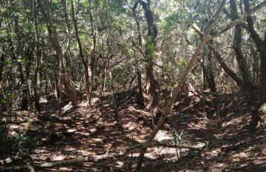 Anaga y La laguna a tus pies - Foto 50