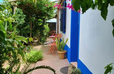 Vila Pilar Praia - Rural Apartment in the countryside of São Miguel - Photo 7