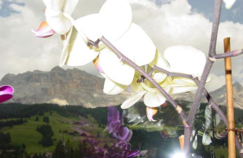 Ciasa Rudiferia Appartamenti in Alta Badia - Foto 25