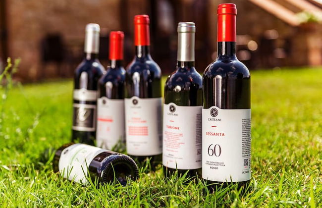 Tenuta Casteani - Foto 49