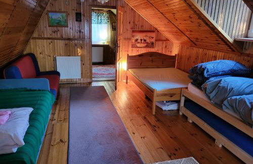 W Krainie Żubra - Foto 9