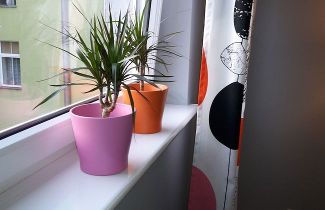 Apartamenty Sedinum - Foto 25