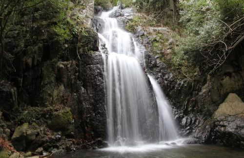 Villa Isola Bella - Vintage - Foto 46