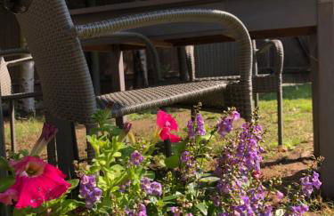 Ferienwohnung Landliebe - Foto 73