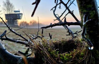 Wieża Krajna - Foto 8