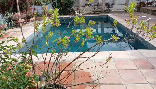 LOS DOS CEDROS - Foto 2