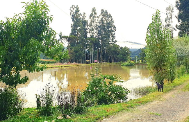 Pousada Mato Verde - Urubici - SC - Foto 39